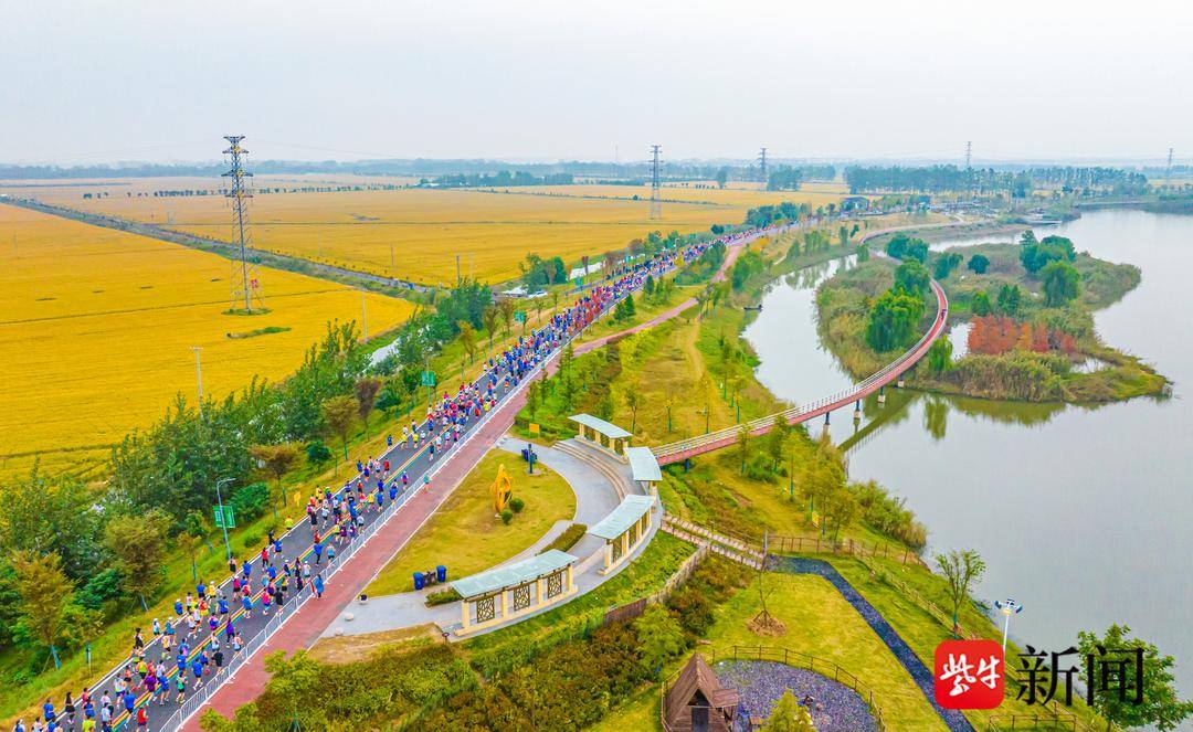 湿地之都, 朴实的待客